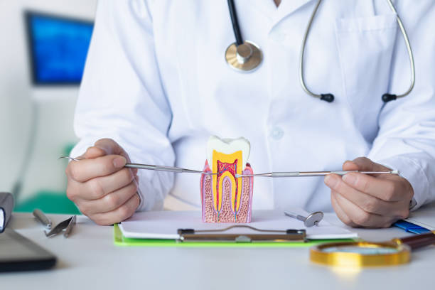 Best Emergency Root Canal Treatment in Chester, CA